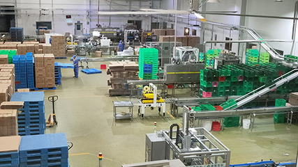 杭州食品溯源新举措 一码追溯，从生产到餐桌的全过程透明化