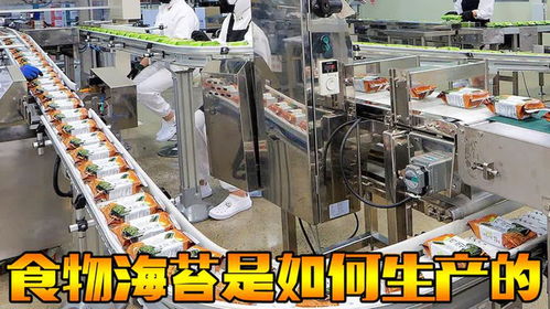 从海洋到餐桌 探秘韩国海苔工厂的自动化生产与国民美食之旅