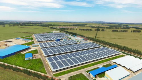 5年超百亿，开启品牌新纪元的越秀辉山凭什么豪赌未来